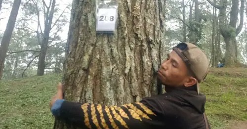 Gerakan Konservasi Menguat di Glagalinggah Melalui Program Adopsi Pohon